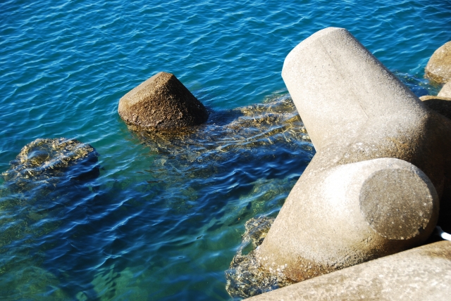 おろちんゆーのカサゴ穴釣り場所は 宮川港 神奈川県三浦市 のテトラ