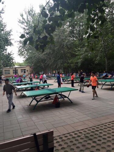 北京市内の公園に卓球台がたくさん置いてある画像