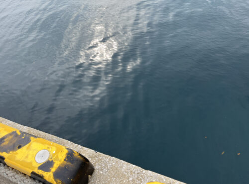（2022年11月に撮影）MISIAが釣りをしていた対馬市厳原港の画像②