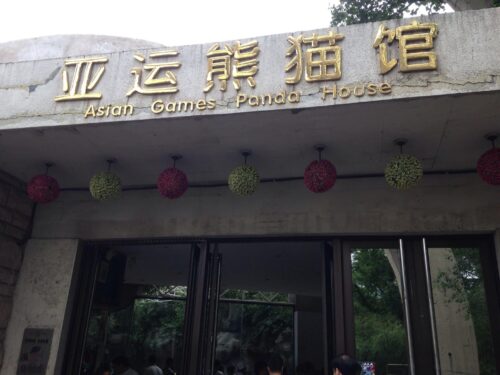北京動物園のパンダ画像②（2014年6月撮影）